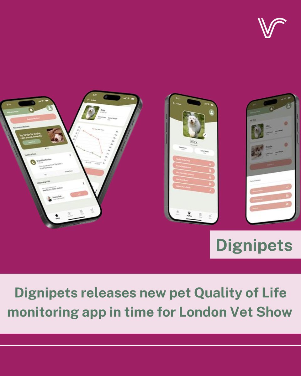 Vet Report tweet media