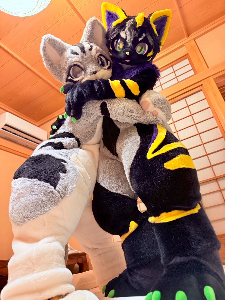 にゃんず🐱
#FursuitEveryday 
📷:<a href="/FoxMk2/">FoxMk2(ｽｲｽｲ)→???</a>