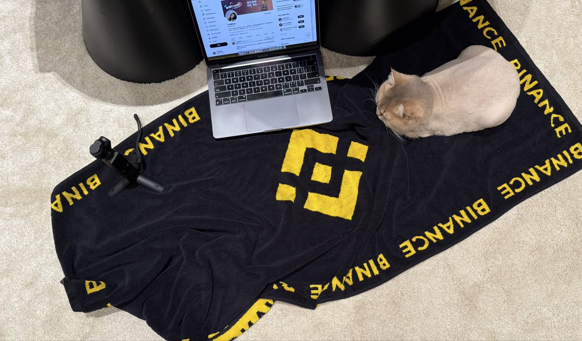 Una繁星 tweet media