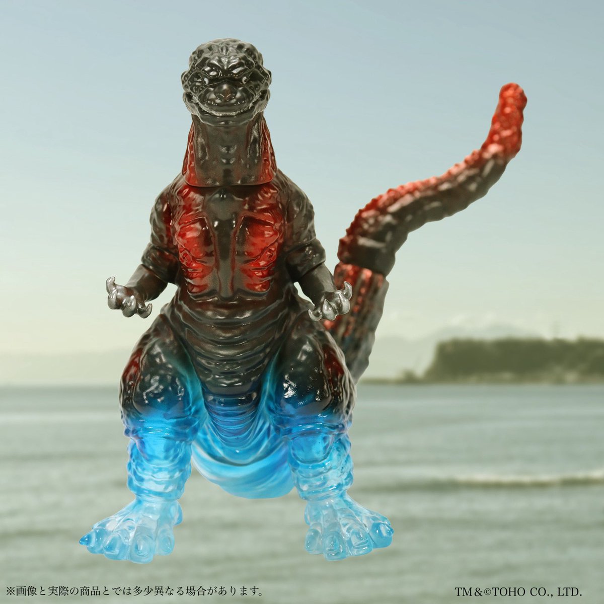 新江ノ島水族館 限定ソフビ】 ミドルサイズより限定ソフビが受注受付中