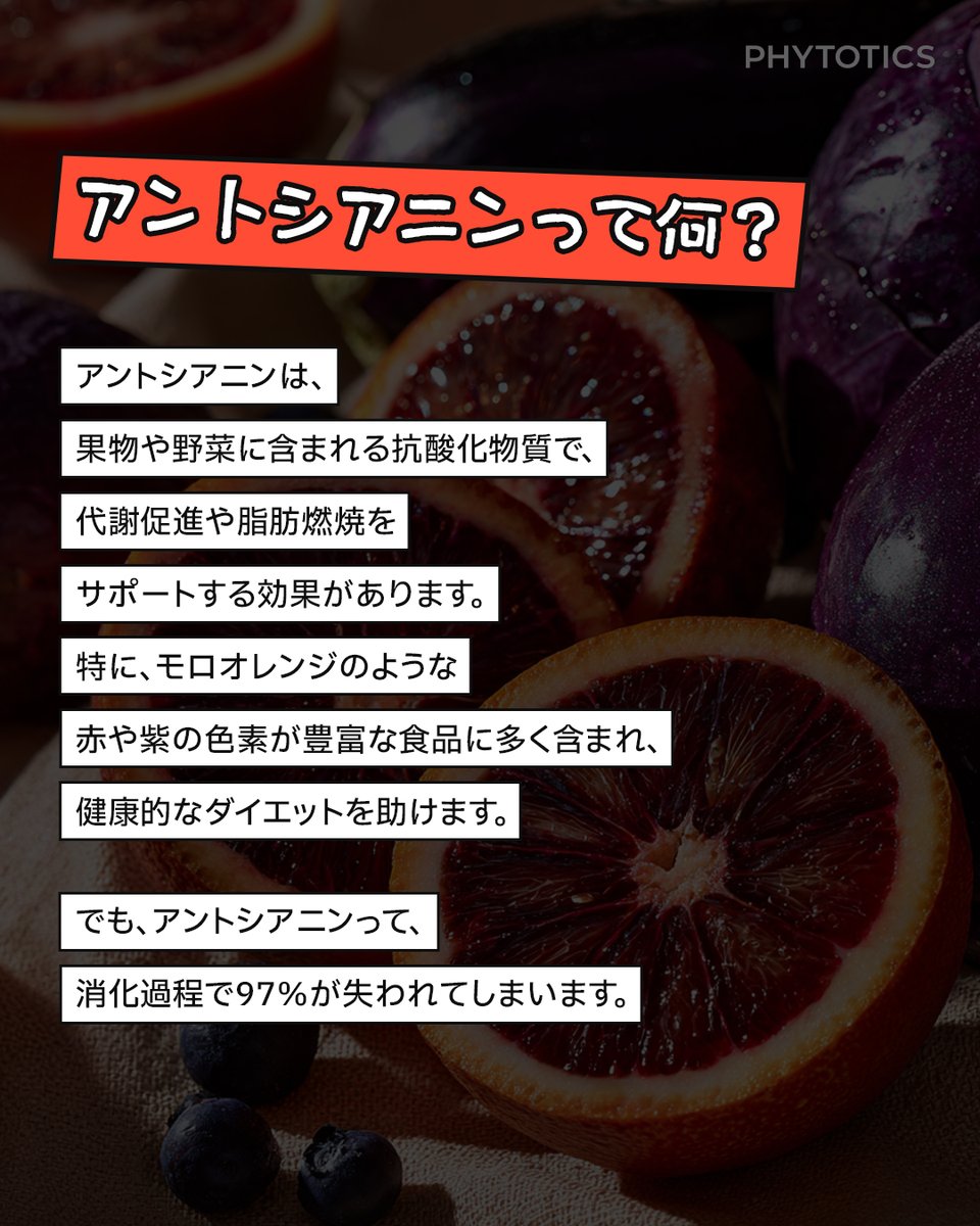 phytotics_jp's tweet photo. モロシルエットオレンジで代謝アップ
モロオレンジに含まれるアントシアニンが、脂肪燃焼をサポート！🔥
アントシアニンの力で、健康的にダイエットをサポート💪
消化過程で失われやすいアントシアニンも、乳たんぱく加水分解物と一緒に摂ることでしっかり守られ、効果的に吸収されます👀💡 https://t.co/h3WS12dj5M