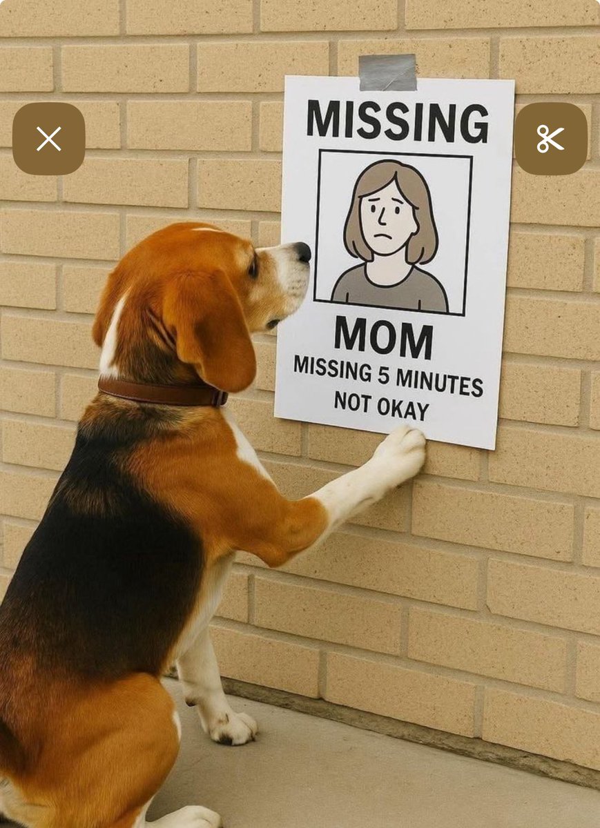 Saw this made me smile. Have a great day.