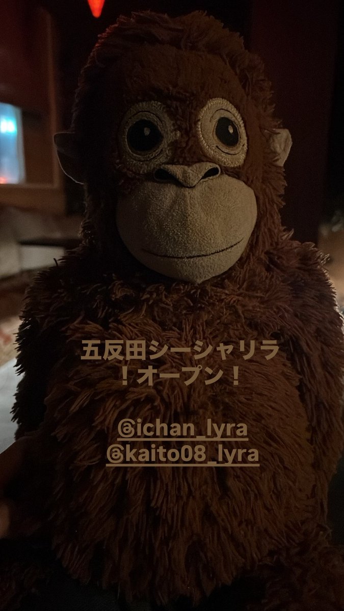 shisha_lyra's tweet photo. 五反田シーシャリラオープン！ https://t.co/iw2xkB1k3W