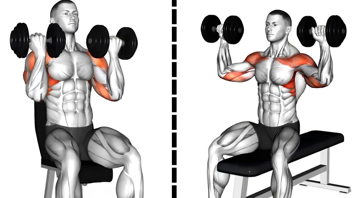 reisquarteu's tweet image. #Dumbbell #ArnoldPress VS Dumbbell #BenchPress Key Differences: youtu.be/Wq2x72rCbQ4 #Fitness #BodyBuilding