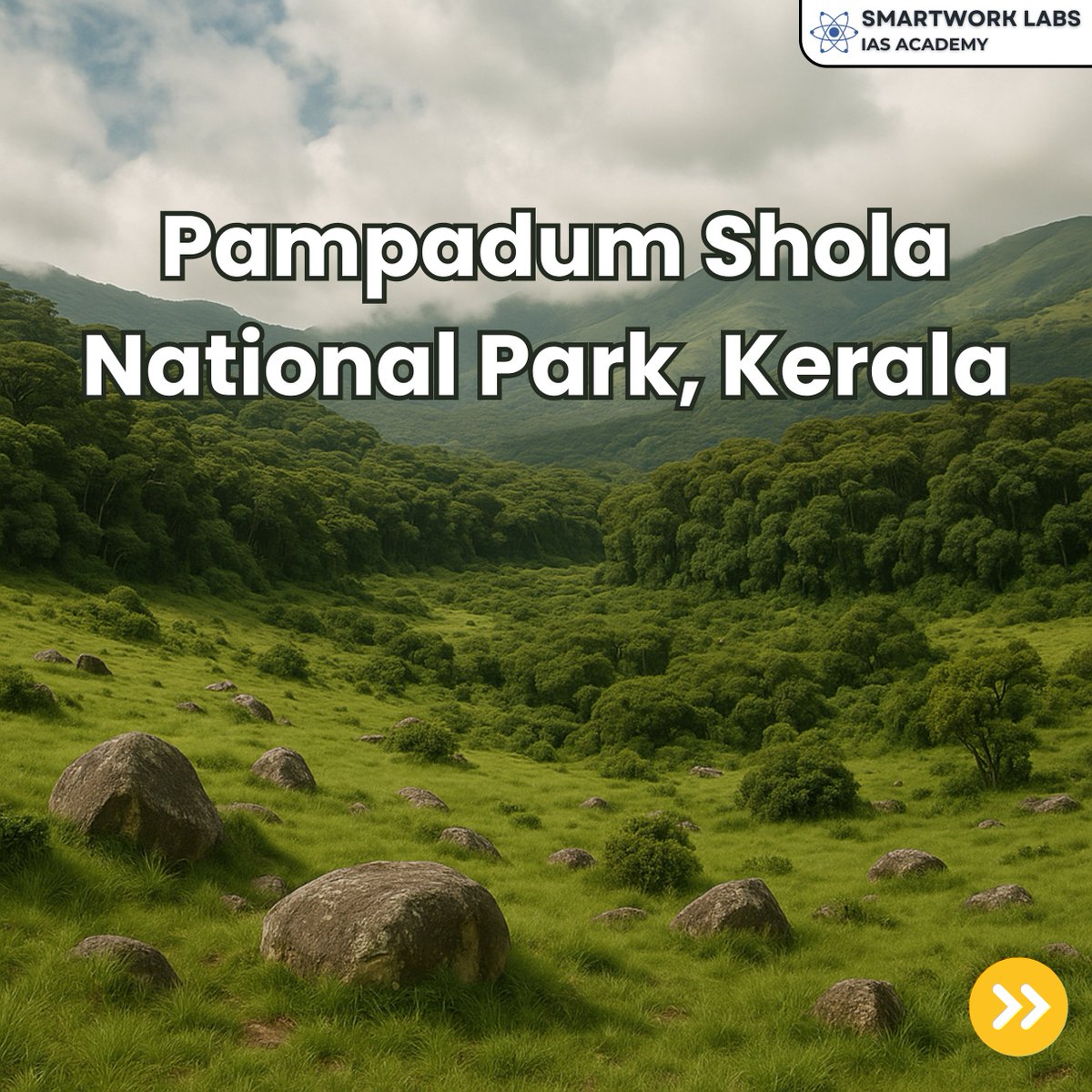 Smartwork_Labs's tweet image. Kerala’s Pampadum Shola National Park revives its native grasslands after removing invasive Australian wattle — restoring river flow, boosting biodiversity, and strengthening Western Ghats ecology. A model for India’s landscape-level restoration.
#PampadumShola #WesternGhats