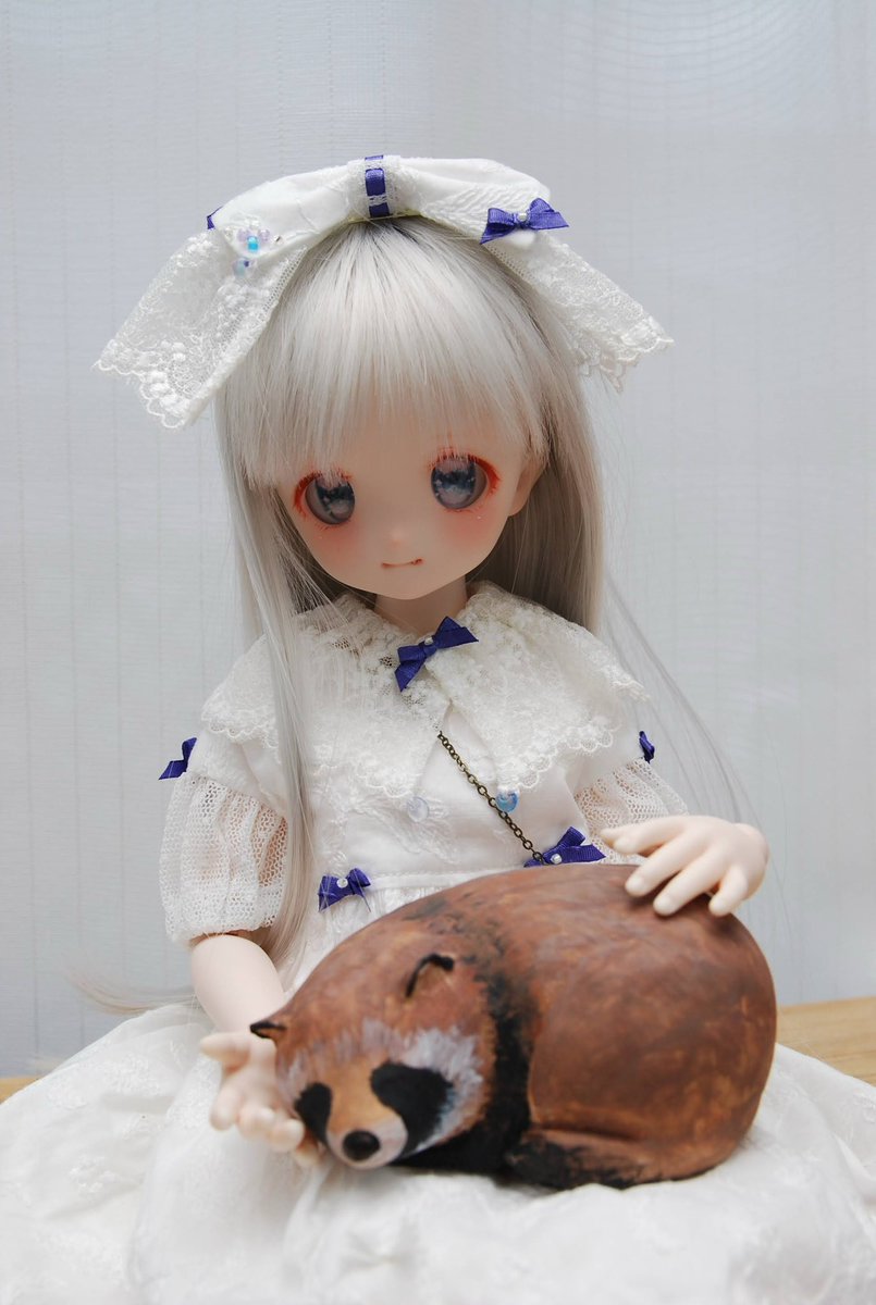 akinobu_cat's tweet photo. うちの子ちゃんとたぬきもかわゆい♡

四季彩堂(@shikisaido )のユーリちゃん(@yuuri_shikisai )のちいさな秋シリーズとの相性もばっちり🍂 https://t.co/oq1ZM6YvNK