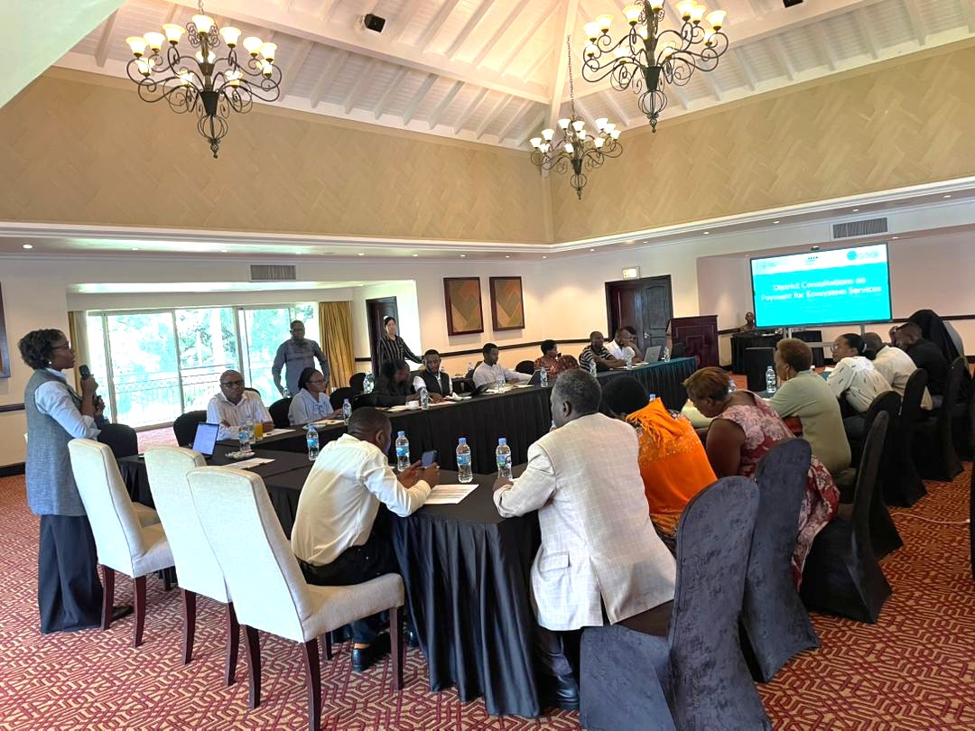 GGGI_Rwanda's tweet image. #HappeningNow in Rubavu District!

@GGGI_Rwanda is hosting a consultation workshop on Payment for Ecosystem Services (PES) under the #SFERE project.

We’re bringing together district leaders, communities &amp;amp; private sector to explore how #PES can reward efforts to protect forests,…