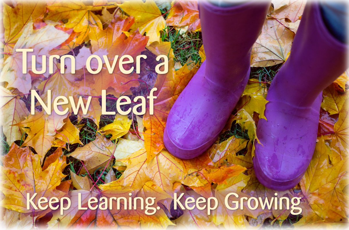 BiteSizeLtd's tweet image. Learn more about Content Generation using #Copilot in #PowerPoint - see this week&apos;s Bite Size IT Tip - conta.cc/4nUXSaK

#bitesize #learningsolutions #ITTips #howto #computertips #M365 #microsoft365 #MicrosoftOffice #ITTraining #onlinecourses #HR #learninganddevelopment