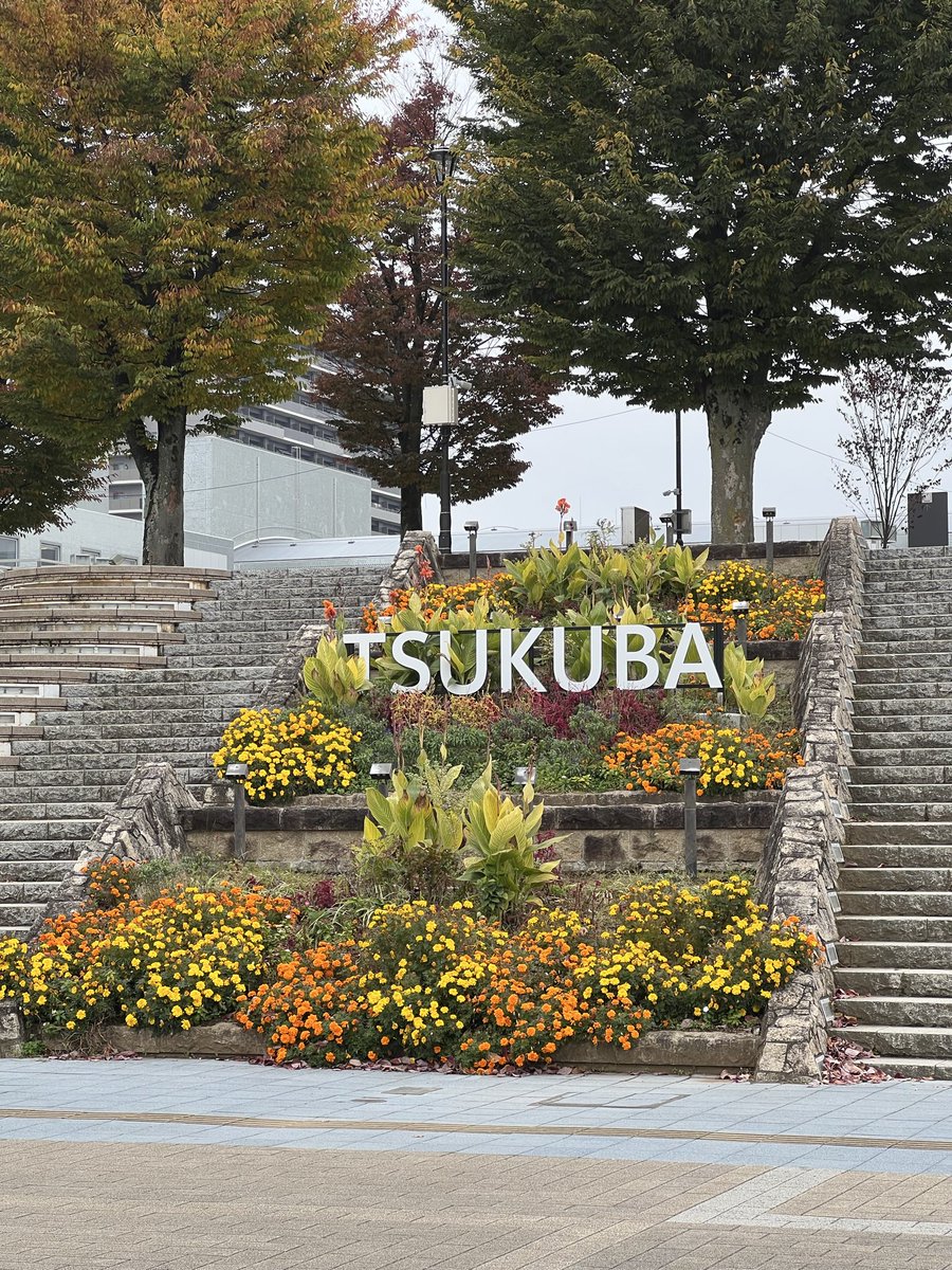 Jenny Silver 💬 tweet media