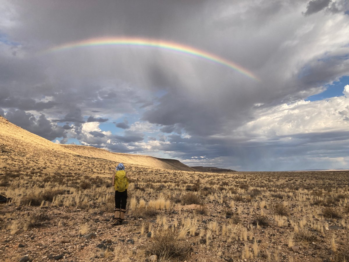 Heads up on two post docs at Cambridge. One position is in paleontology, one is paleoecology or sedimentology. Come work on Ediacaran rocks in Namibia! Lots of fieldwork. Closing date is Nov. 30th. 

cam.ac.uk/jobs/research-…

jobs.ac.uk/job/DPK491/res…