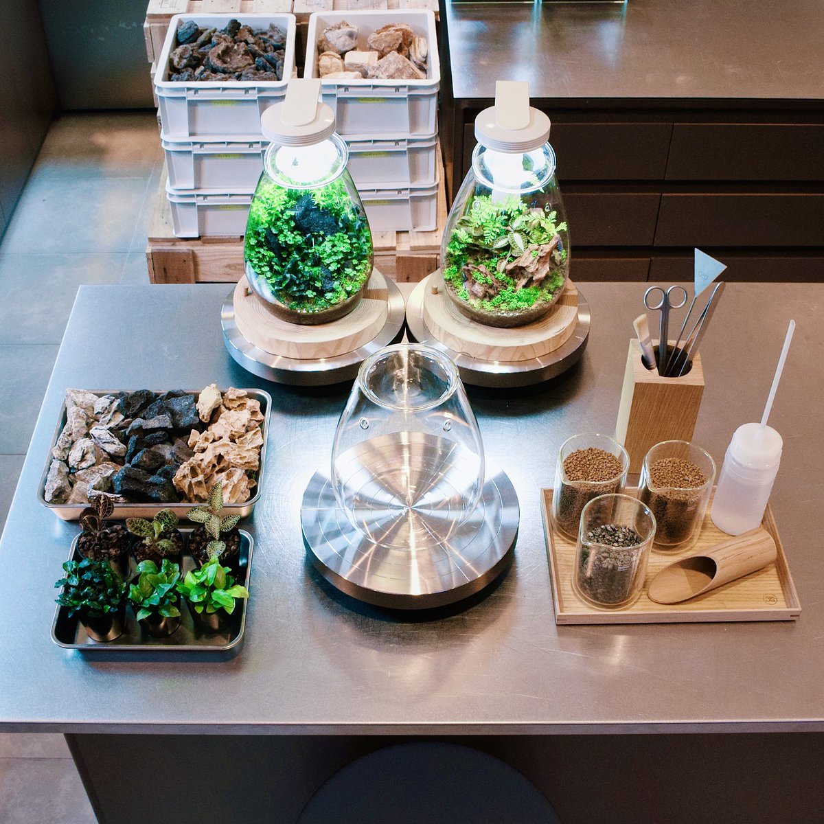 ada_lab_umeda's tweet image. WORKSHOP

ADA LAB UMEDAでは、パルダリウムワークショプを毎日開催しております。
専門スタッフが制作、育成をサポートいたします。ご家族やご友人と一緒に制作することも可能です。皆様のご参加を心よりお待ちしております。

#adalab #adalabumeda #ada