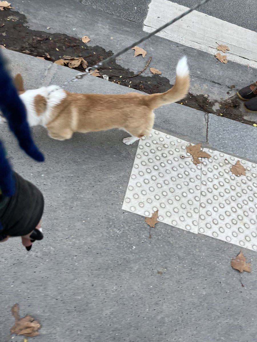 may🦇 (@flaner_may) on Twitter photo 