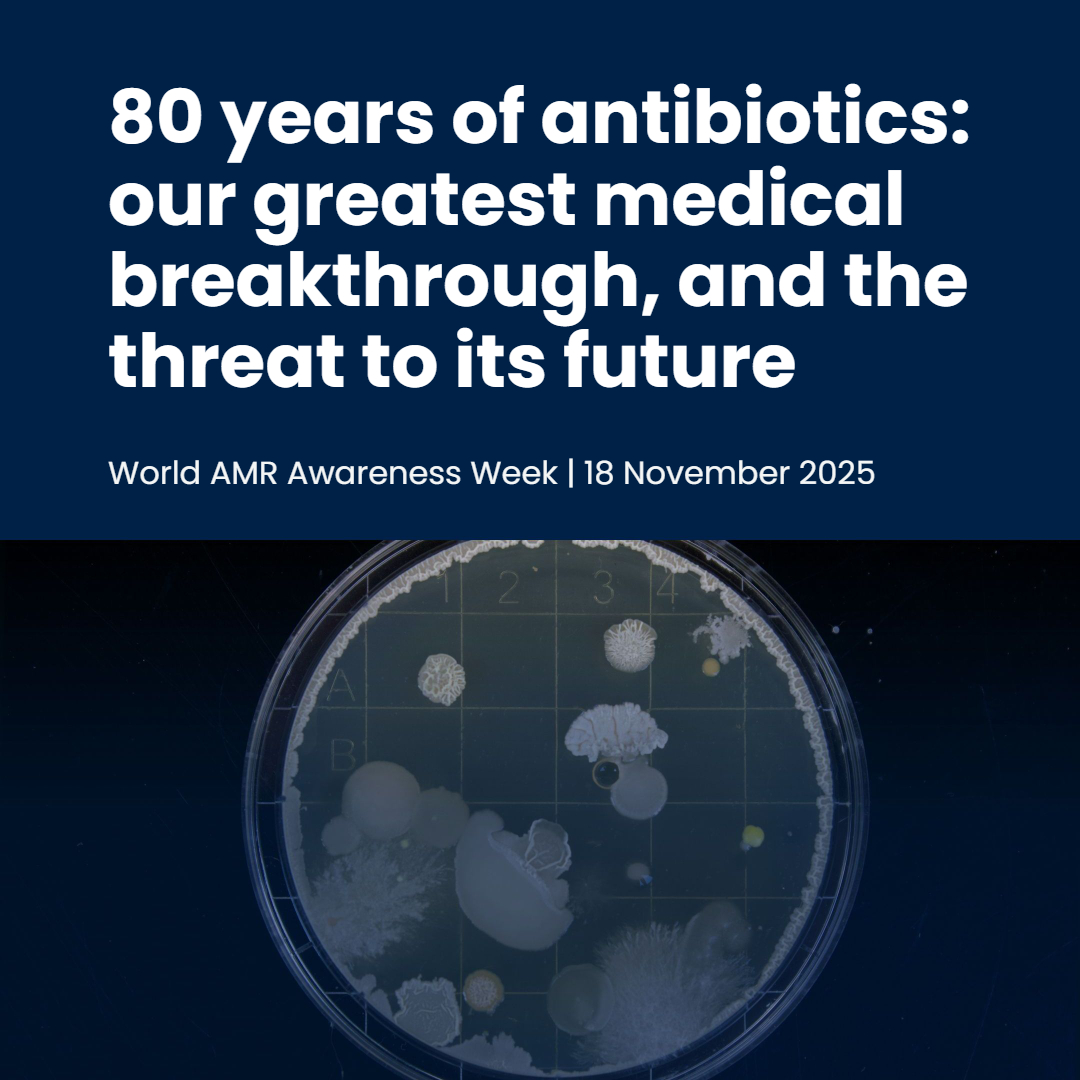 IneosOxford's tweet image. 💙It’s #WorldAMRAwarenessWeek!  

🧫80 years ago, penicillin changed modern medicine - but how does it work? And how do bacteria resist it? 

👉Read more to find out, and learn how the IOI protects our life-saving antibiotics: ineosoxford.shorthandstories.com/80-years-of-an…

#WAAW…