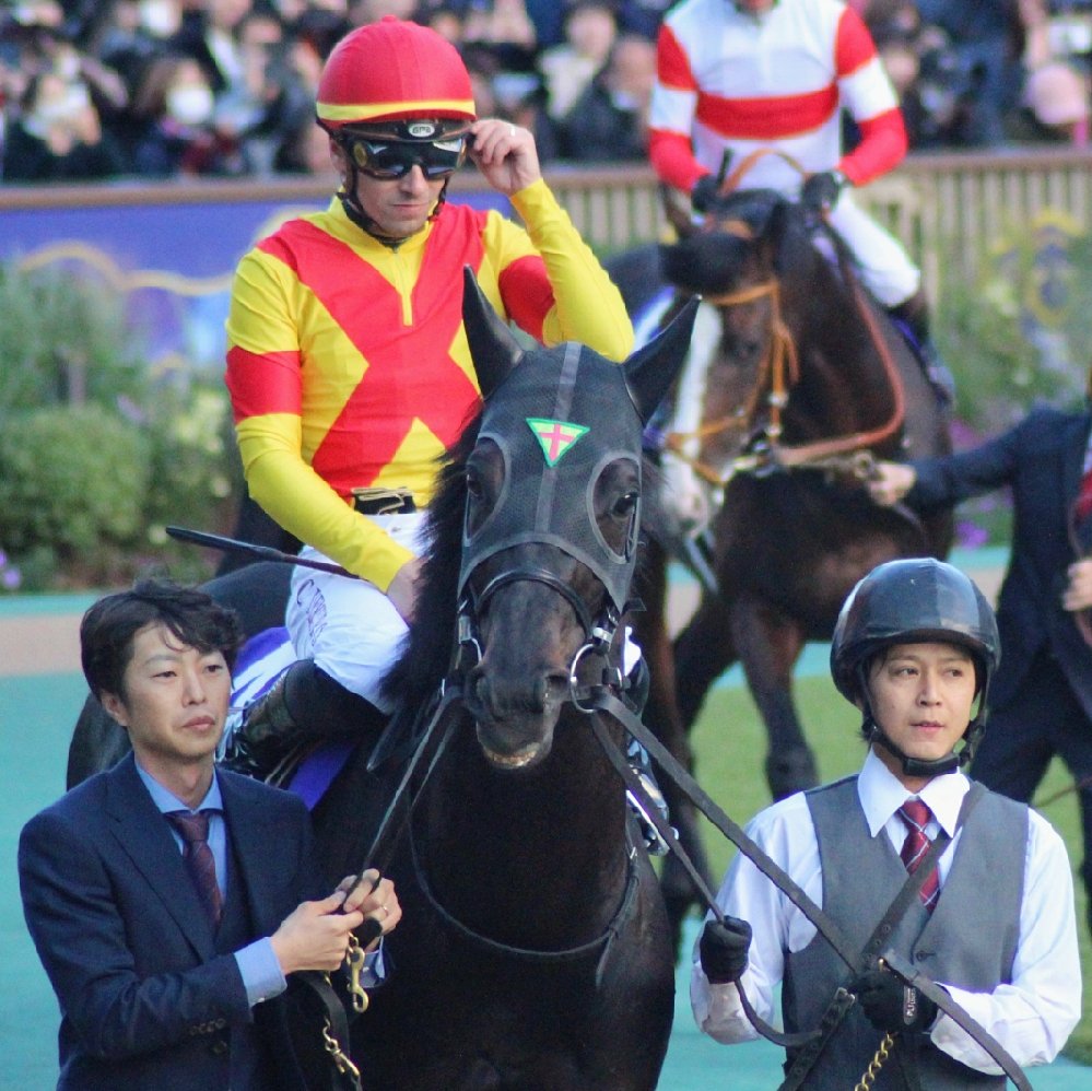 盗まれた馬 YuK1 (@yururiyurara) / Posts / X