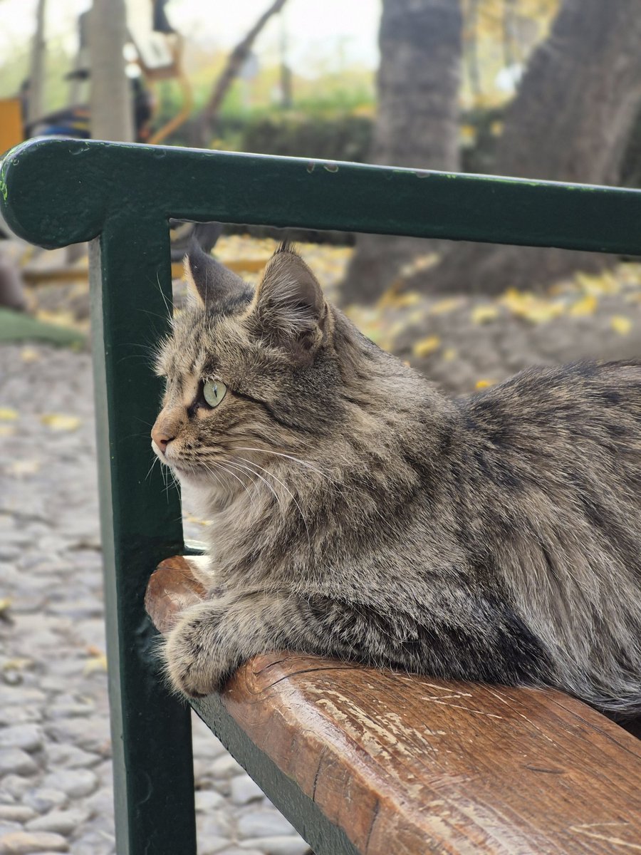 امروز مشاهده شد