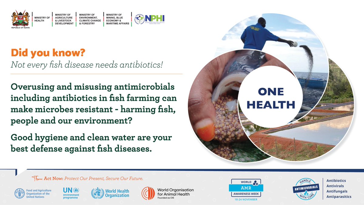 Dir_vetservices's tweet photo. Did you know that Misusing antibiotics in fish farming can make bacteria resistant - harming fish, people and the environment? 
Not every fish disease needs antibiotics!
Good hygiene and clean water are your best defence against disease. 
Healthy fish = less need for antibiotics = less AMR
#AntimicrobialResistance #AMR 
#OneHealth #WAAW2025