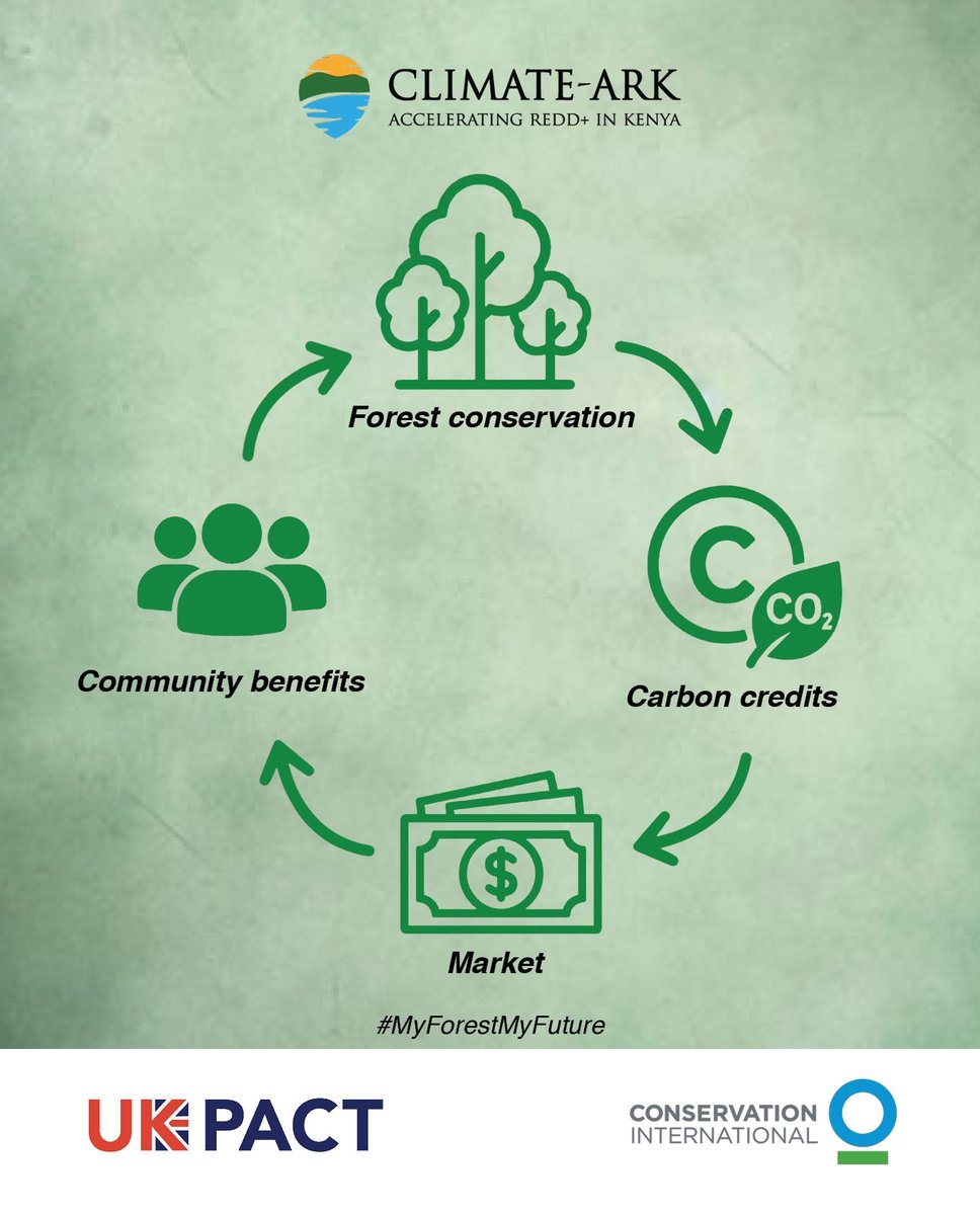 Do you know carbon can be traded like a commodity? 

Understanding how carbon value is created and sold helps counties and communities benefit fairly from forest protection. 

Learn more about this:  climate-ark.org/courses/

#ClimateARK #MyForestMyFuture #REDDPlusKenya