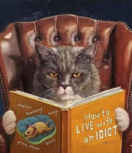 Irena Buzarewicz (@irenabuzarewicz) on Twitter photo 