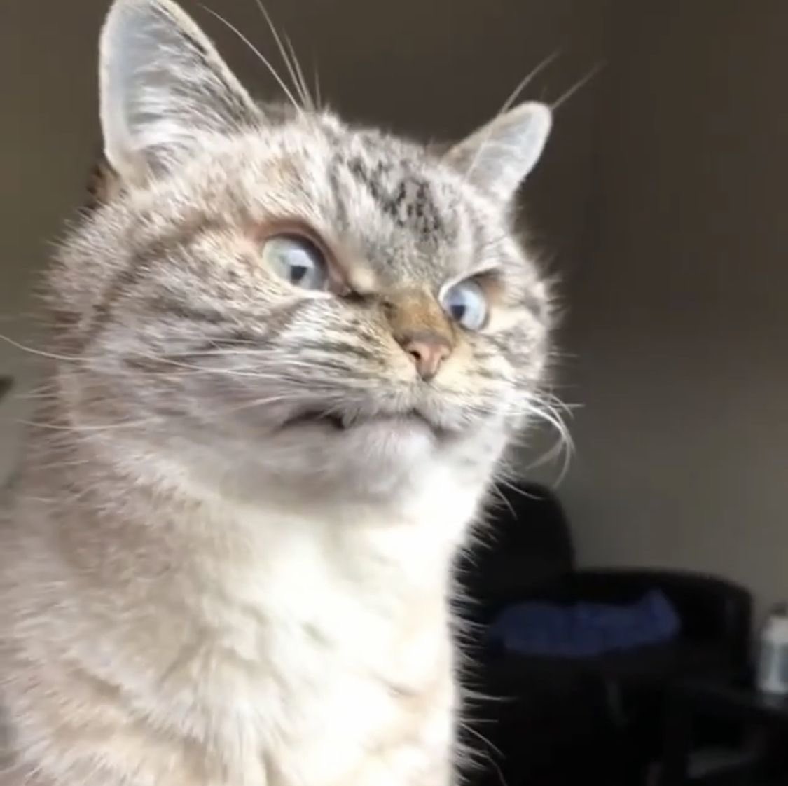 "Always start the day with a smile"

Me: