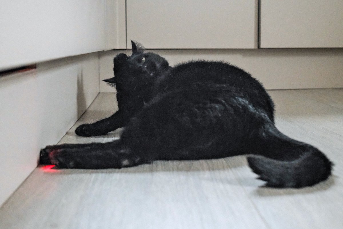 ★akemi様確認用★ Puella Magi Madoka Magica Akemi Homura Figure 1/7 Time Shift Ver