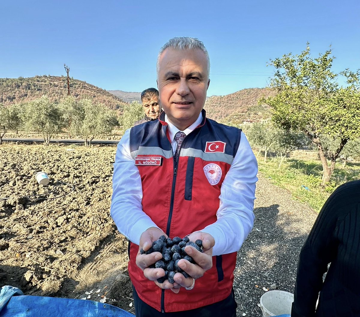 Türkmen zeytin hasadına katıldı <a href="/Abdurra33831811/">Abdurrahman TÜRKMEN</a>  <a href="/tahirbilimm/">Tahir BİLİM</a> 
hataygazetesi.com/ekonomi/turkme…