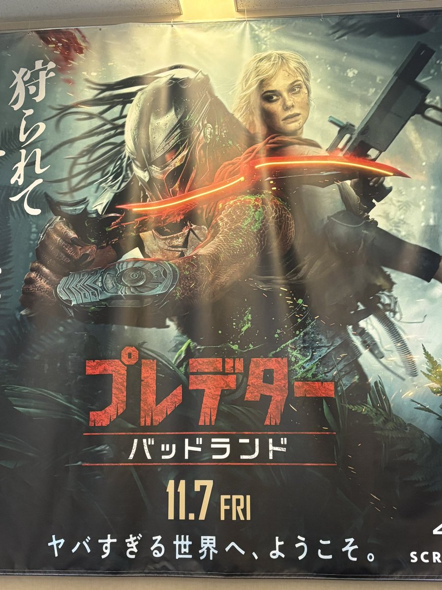 今日はプレデターを鑑賞します