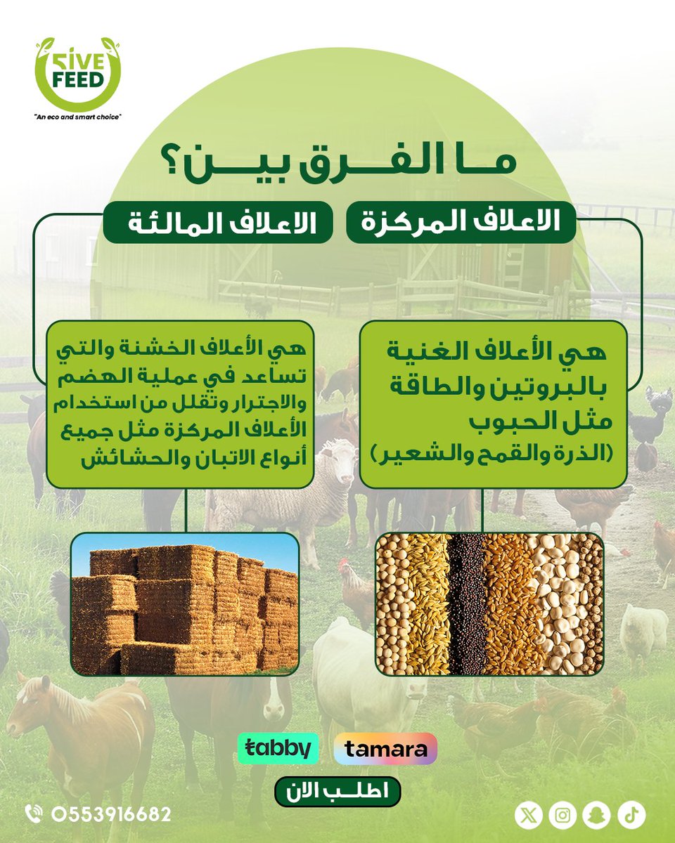 شركه فايف فييد لتجاره الاعلاف بخدمتكم 
📲0553916682
#اعلاف_الامارات_فايف_فيد 
#اعلاف #اعلاف_الامارات #أعلاف_الإمارات #اعلاف_الامارات_ابوظبي