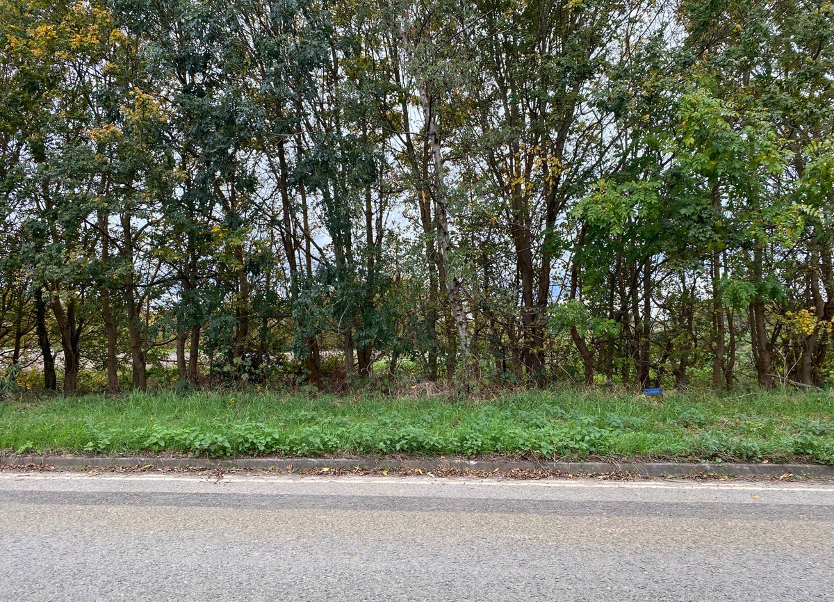 djmarkdevlin2's tweet image. Writing is now well underway with the third and final novel in my “truth fiction” trilogy which I’m aiming to have out by the end of February. As ever, many real-life locations around Oxford will figure in the narrative.