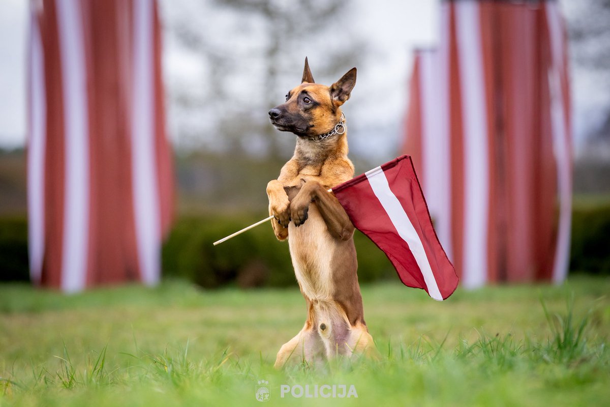 Valsts policija tweet media