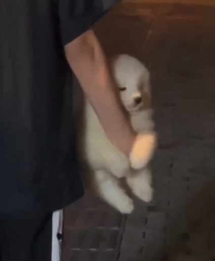 빨쑤씨🕯 (@ynadeez8) on Twitter photo 