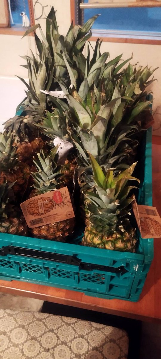 非公式】キッチン10423 (@kitchen10423) / Posts / X