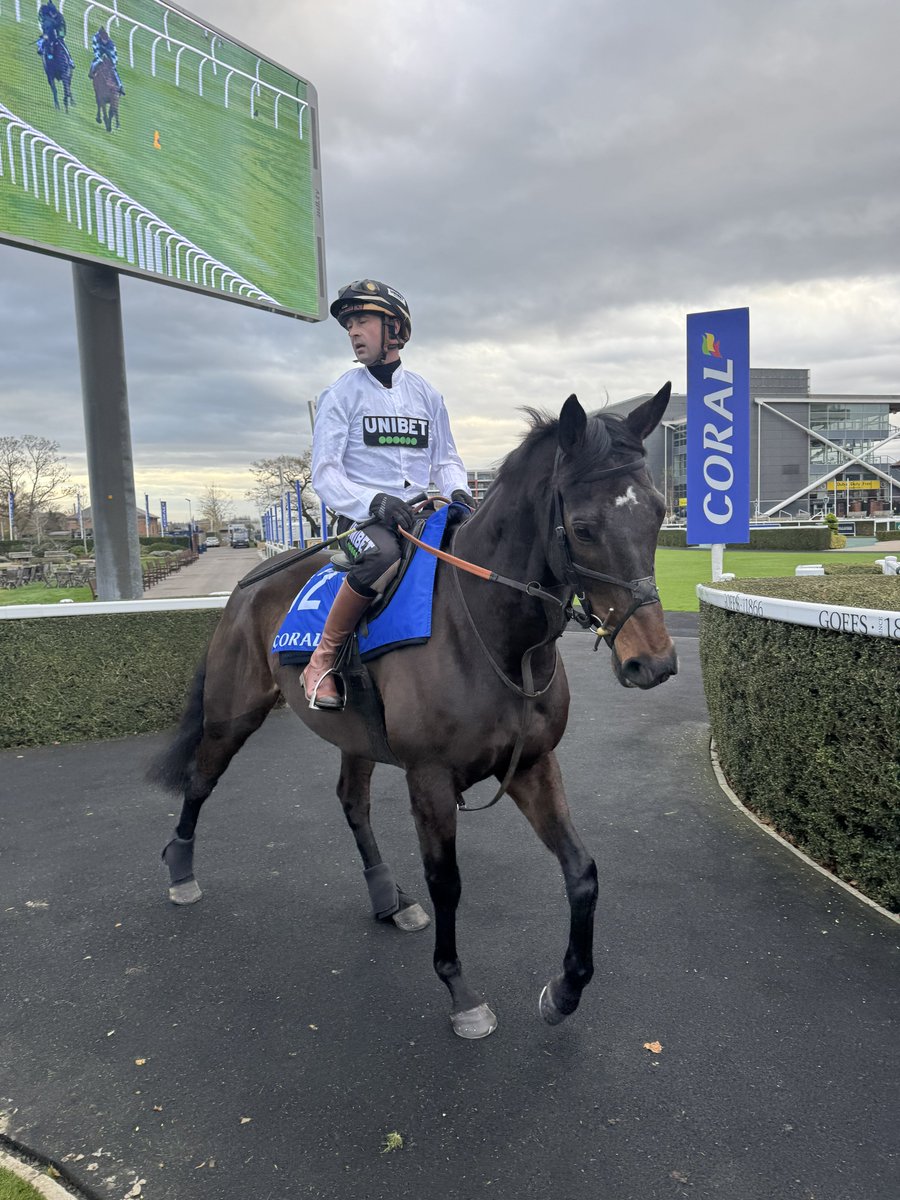 Here he is, CONSTITUTION HILL ⚪️⚫️