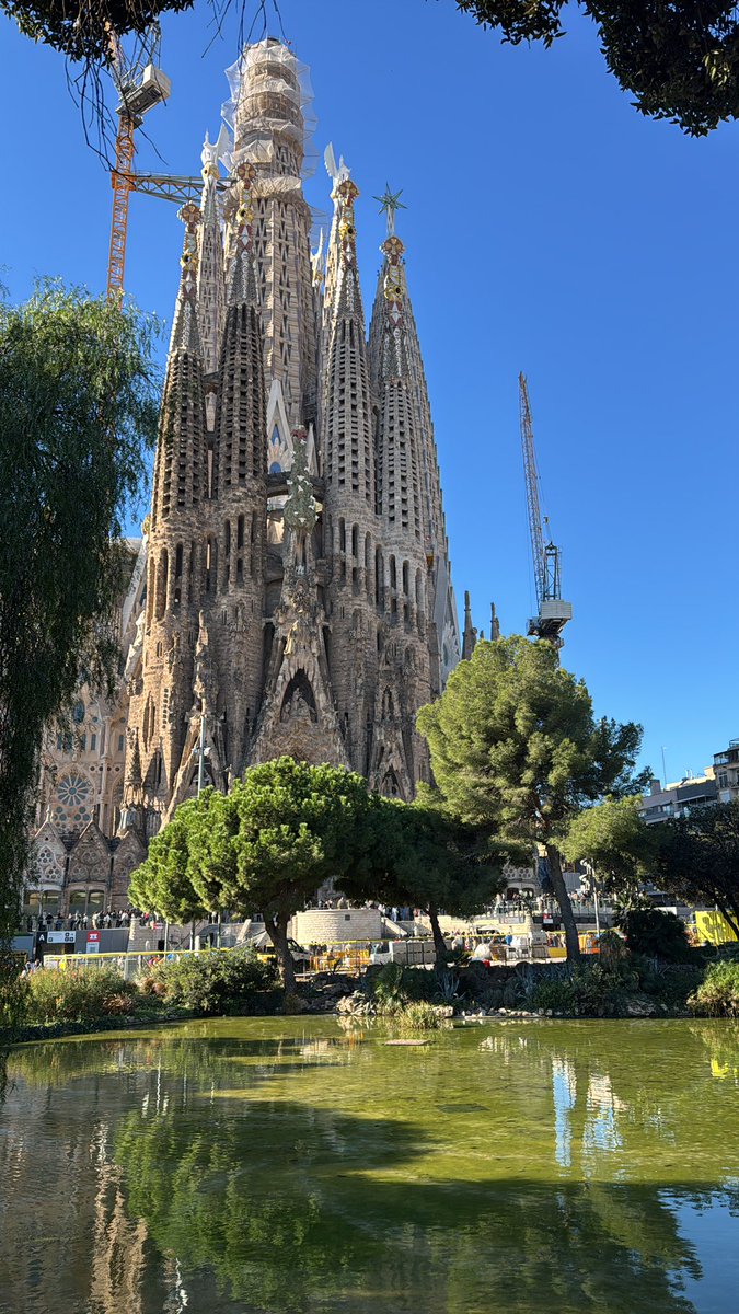 Kay Burley tweet media