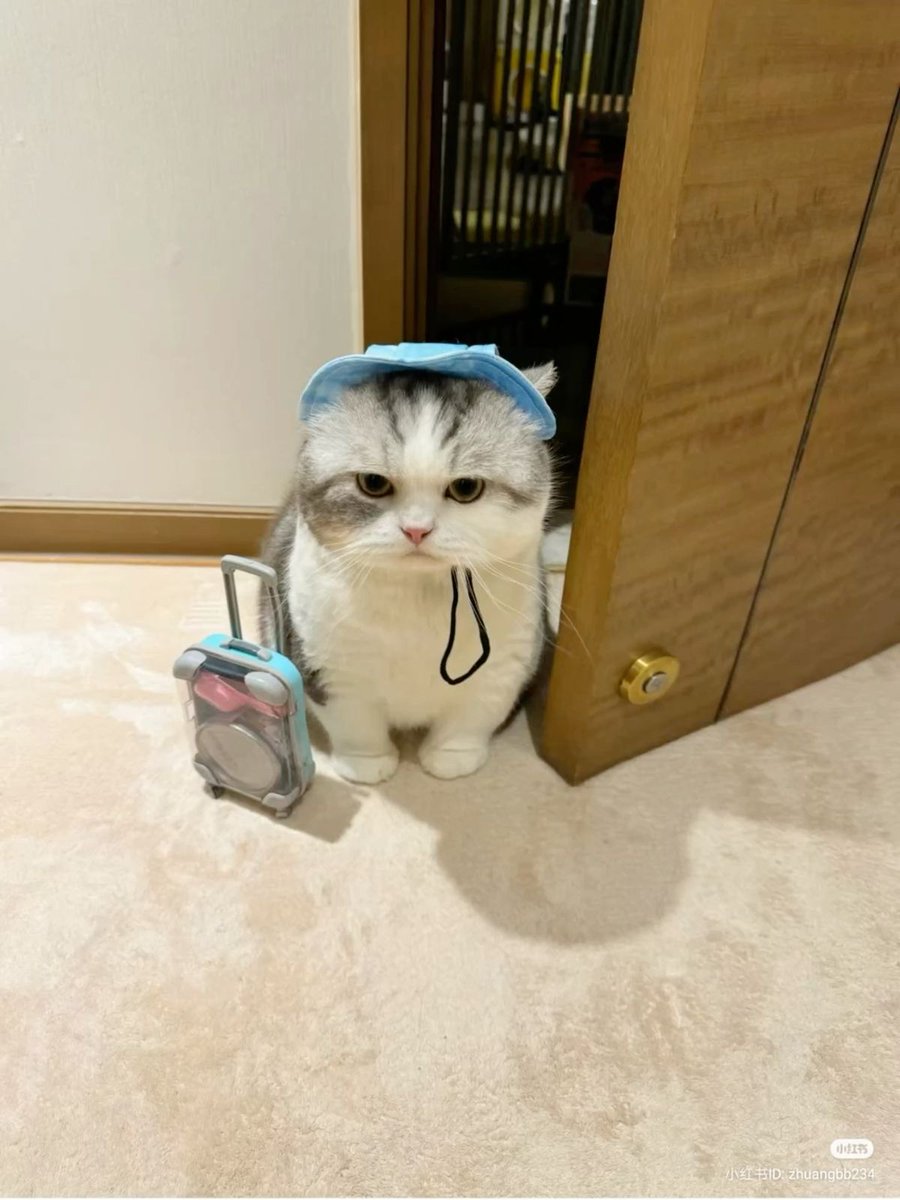 PofudukPotuk's tweet photo. https://t.co/o260G3rCC1