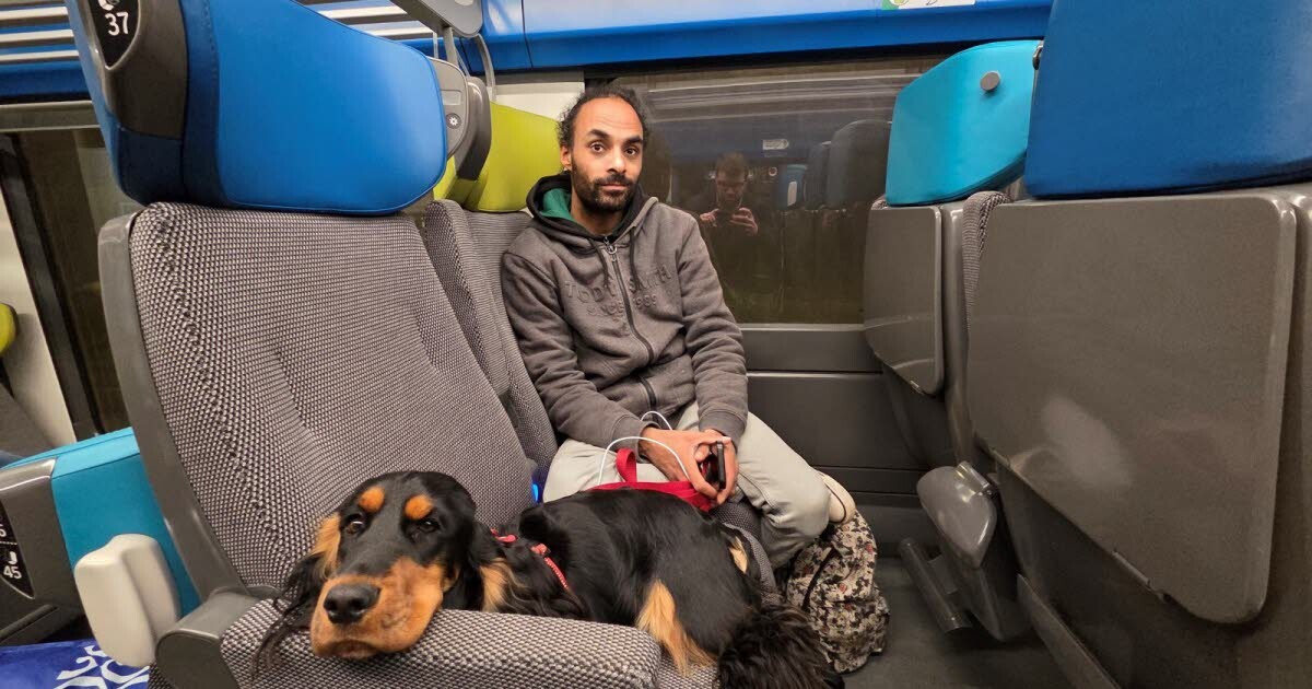 leprogreslyon's tweet image. 🚅 En pleine nuit, ils restent bloqués 7 heures à la gare de Villefranche à cause d’un train en panne : &quot;Je n&apos;ai jamais vu ça&quot;
➡️ l.leprogres.fr/NvT