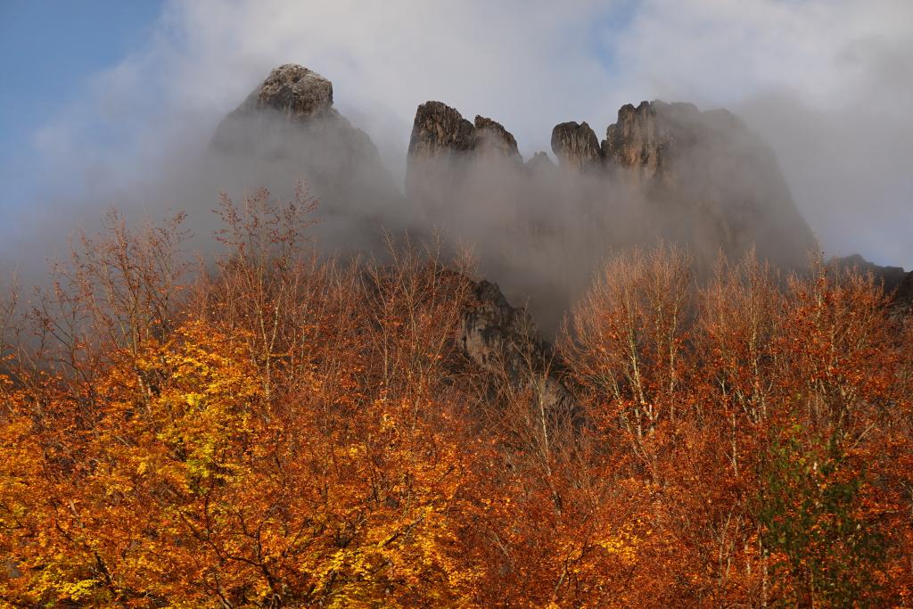 Últimos coletazos del otoño. La Liébana. Picos de Europa😍