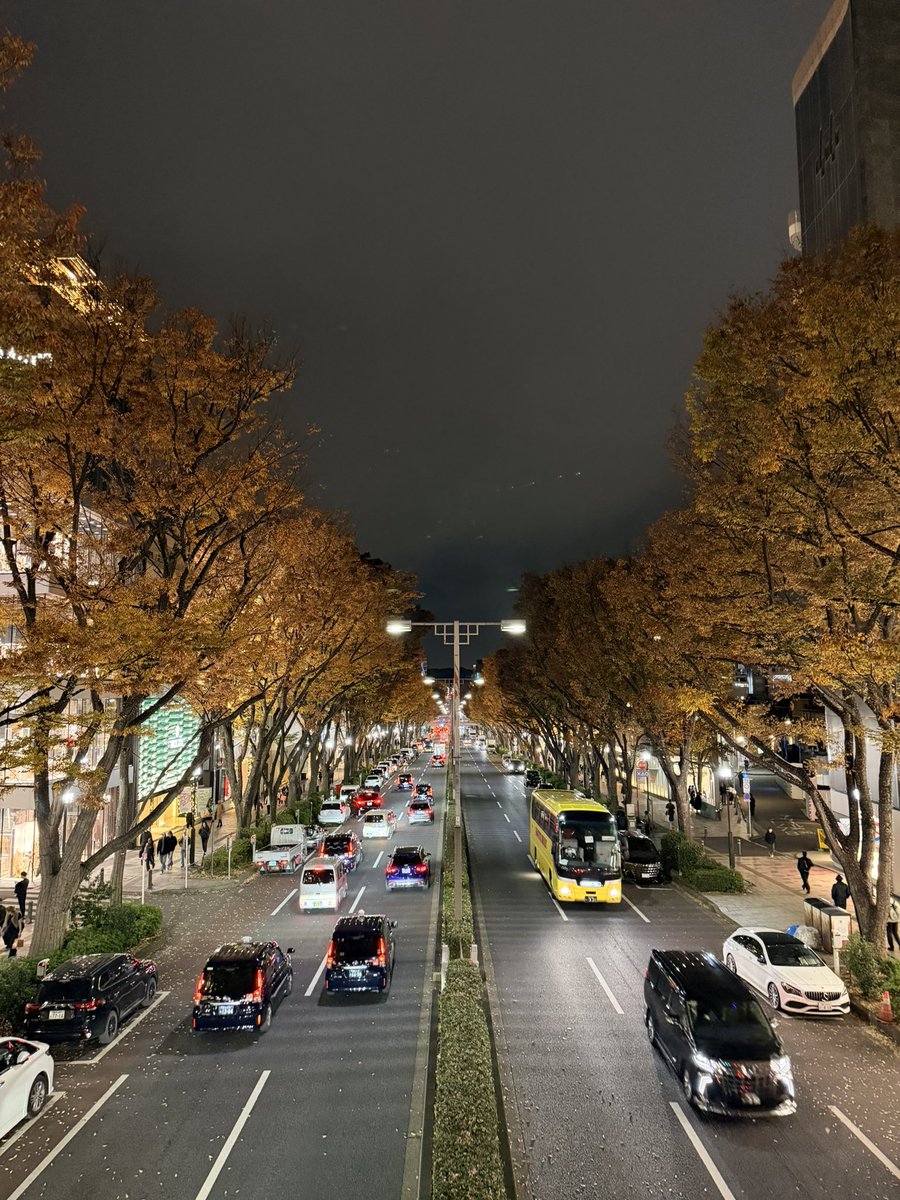 秋だな🍂本当に綺麗な夜の景色⭐️