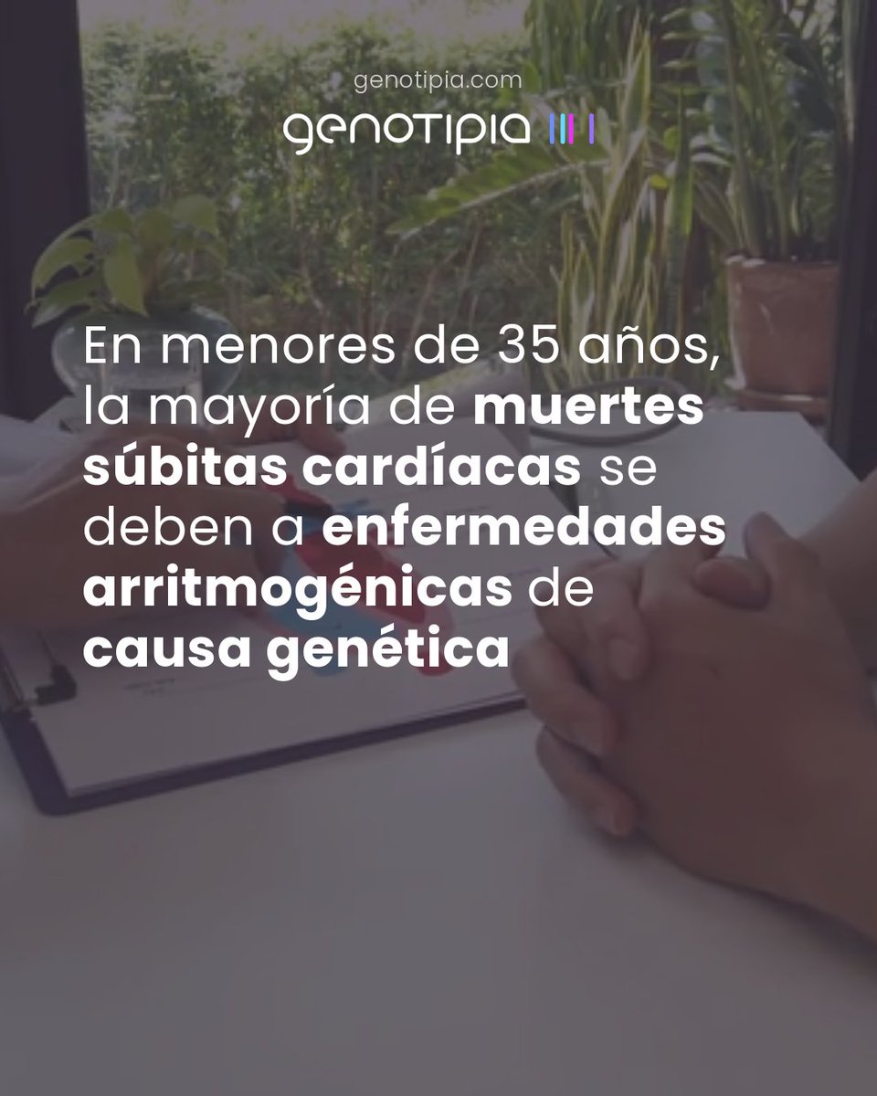 Genotipia tweet media