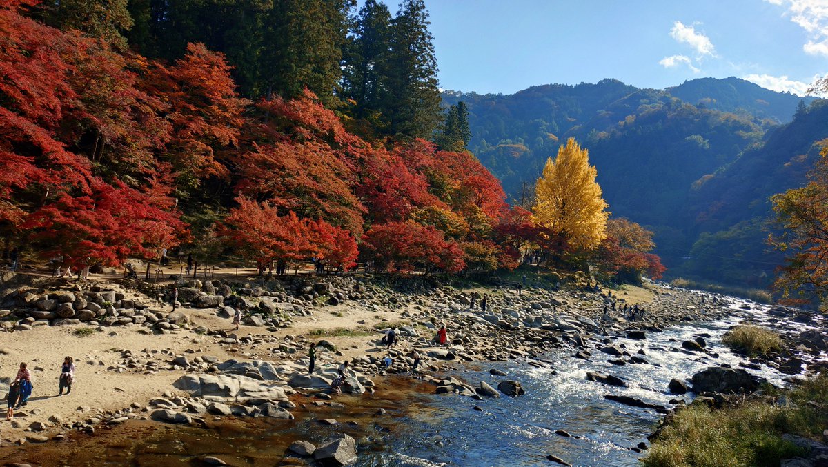 今年の香嵐渓はベストタイミングでした🍁 マグナの純正エンジン、割ろ