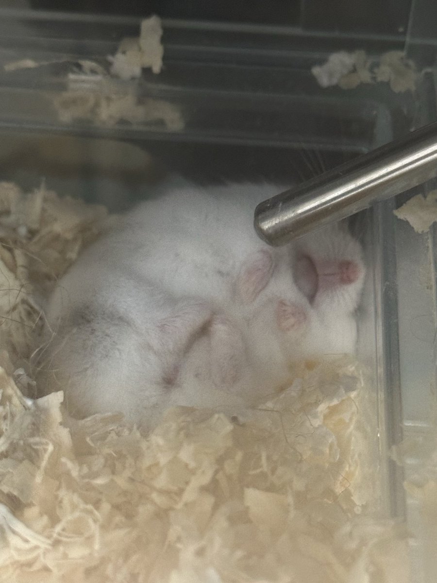 Cv3Fp's tweet image. 