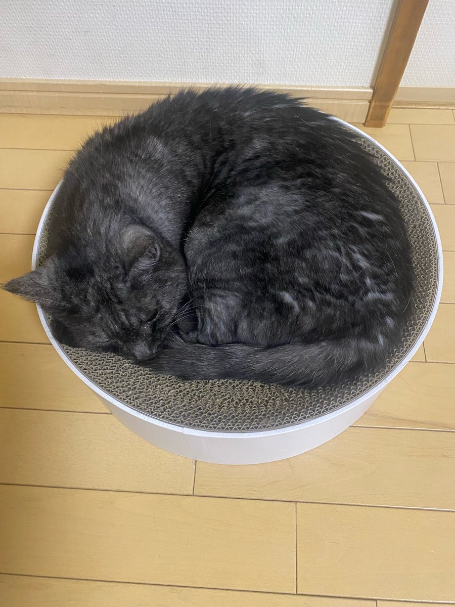 k!mi｡｡ tweet media