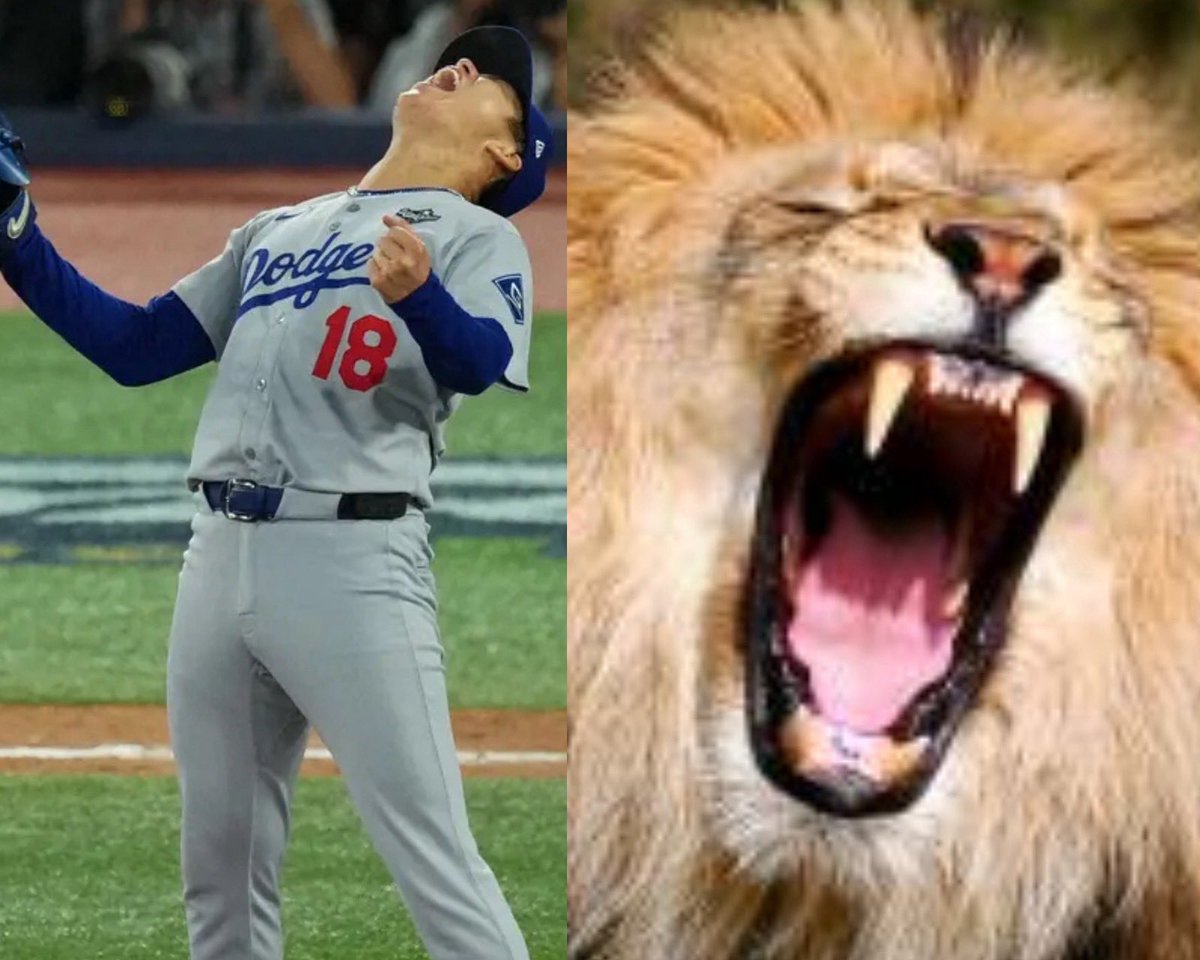 ワールドシリーズ第7戦で、山本由伸が子ライオンから立派な百獣の王ライオン🦁👑になった瞬間☝️
#ワールドシリーズ
#山本由伸
#第7戦
#ドジャース