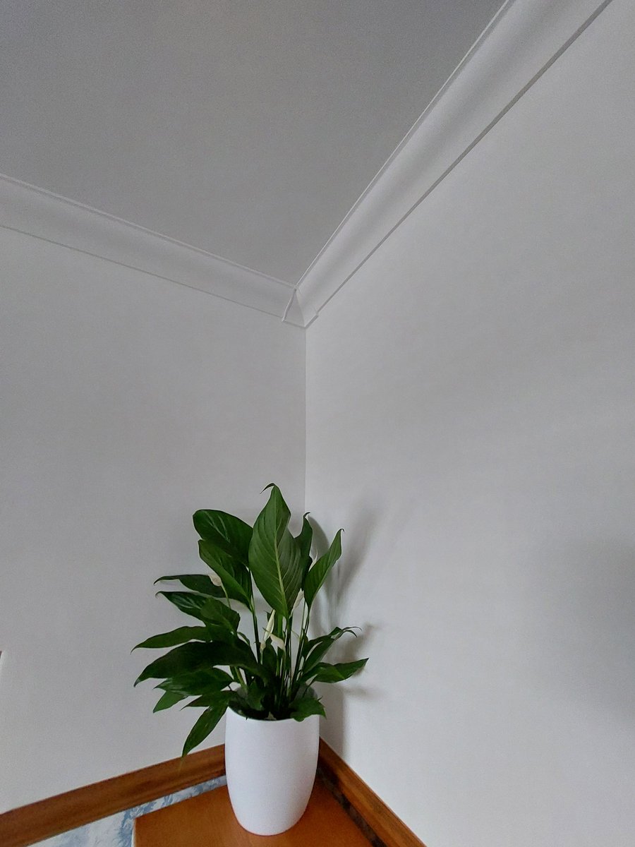 KEIM_UK's tweet image. KEIM Innostar: Excellent white paint for healthy living 

KEIM Innostar offers an extremely attractive shade of white which really brings out the very best from any room or space. 

Watch our application video here - ow.ly/94q850XrIW4 

#onecoatpaint #whitepaint