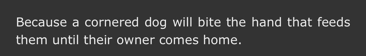 qtmulti's tweet image. 