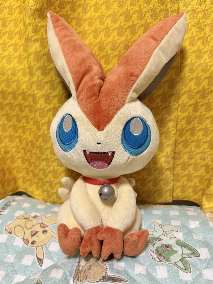 だい ほっしー⭐️ (@dai_hoshi0316) / Posts / X