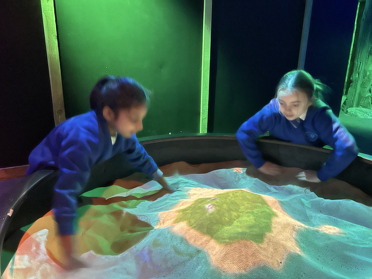 ShawleyPrimary's tweet image. Tigers Class have had a fantastic day at Hobbledown learning all about the layers of the tropical rainforest  and the animals that live there! Plenty of fun was to be had in the adventure playground as well! #WeAreLEO