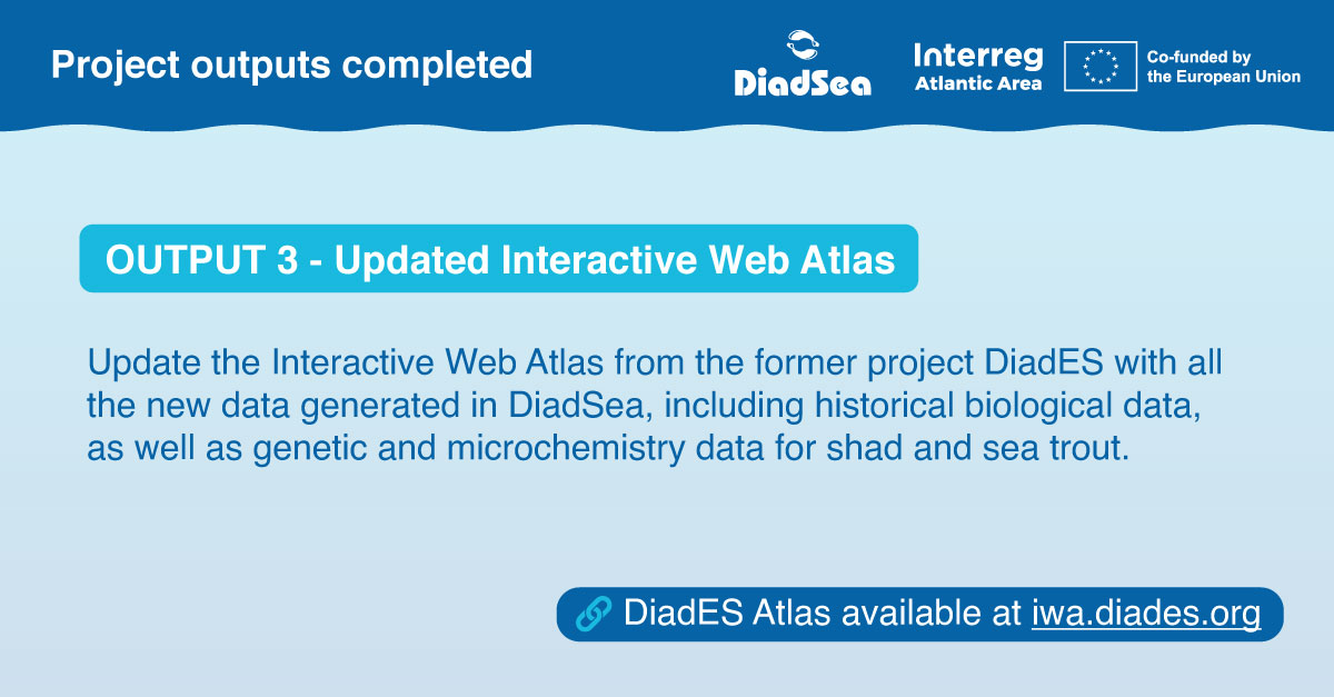 🌐 Have you heard about the Interactive Web Atlas on diadromous fish created by the former #DiadESproject? Now, for #DiadSea's Output 3, we will enrich it with new data. Meanwhile, access the DiadES version at 🔗iwa.diades.org
@atlanticarea <a href="/UNOceanDecade/">UN Ocean Decade</a>