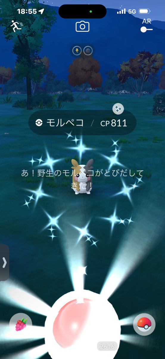 1h0r2k8's tweet image. 寒かった😨