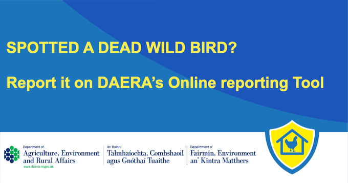 daera_ni's tweet image. 📲If you find a dead wild bird in NI, did you know you can report it on our online tool?  More info: daera-ni.gov.uk/services/daera…

@NI_LGA
#avianflu