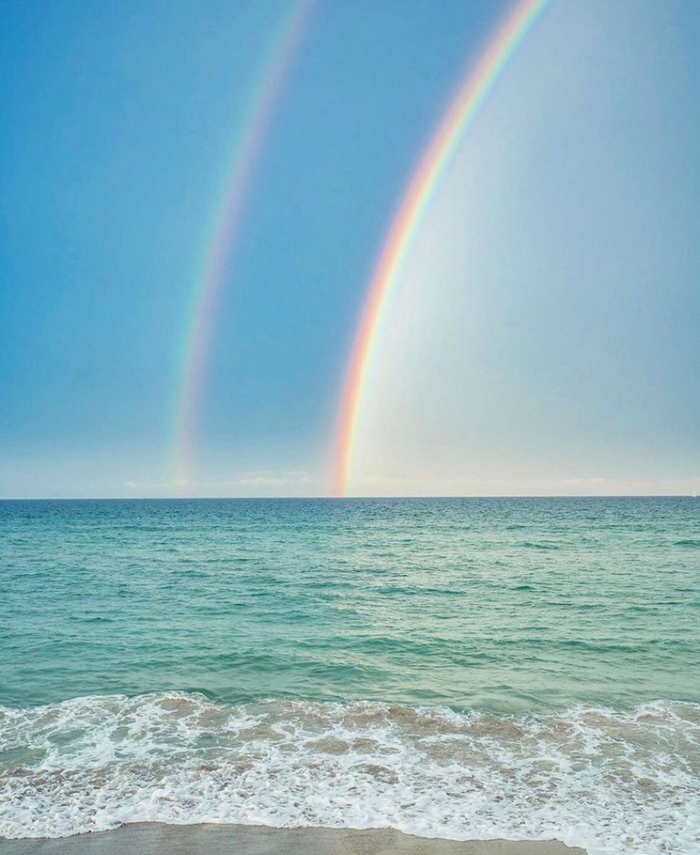 AngeLtongue's tweet image. Happy Tuesday! #X #TuesdayMotivation #TuesdayVibes #LoveAndLight #WorldLove #UniversalLove #Peace✨💎🕊️🌎🌍🌏💚🌈☀️☺️🎶🎁💎